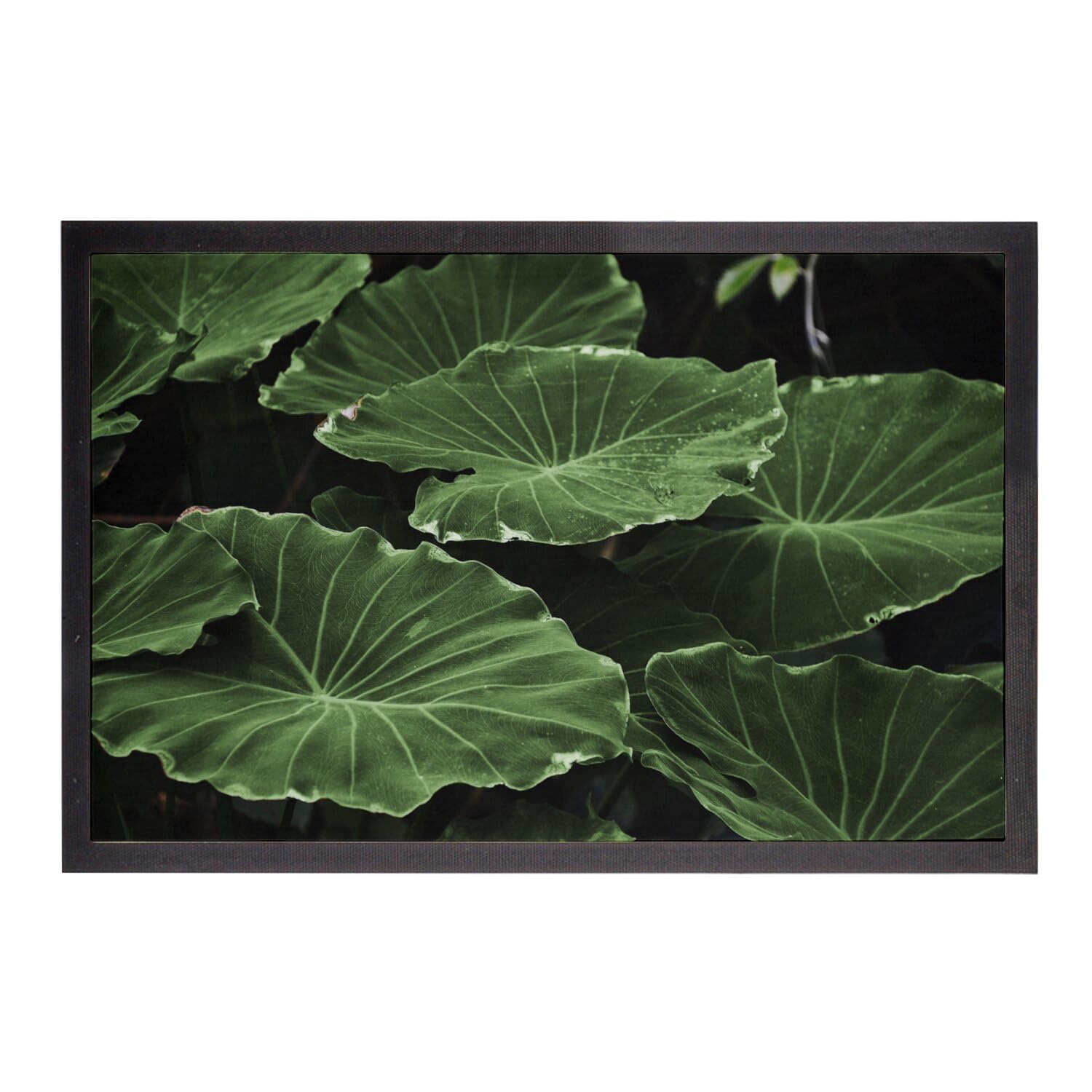 Tapis de sol feuilles de lotus pour entrée style jungle et botanique sauvage