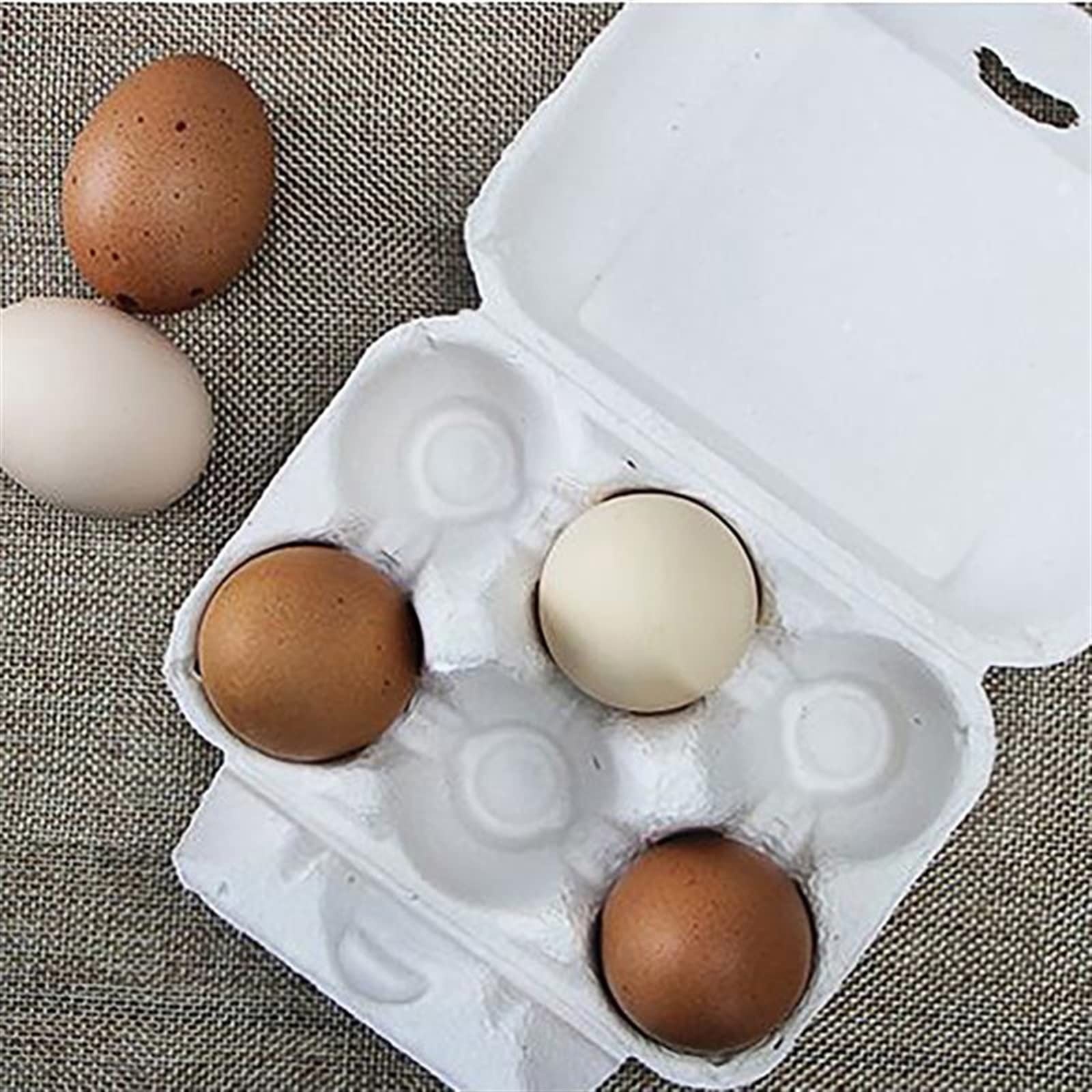 Compartimiento de Huevos para refrigerador Cartones de Huevos Almacenamiento de Papel Pollo para Bandeja Huevos Contenedor a Granel Caja Reutilizable