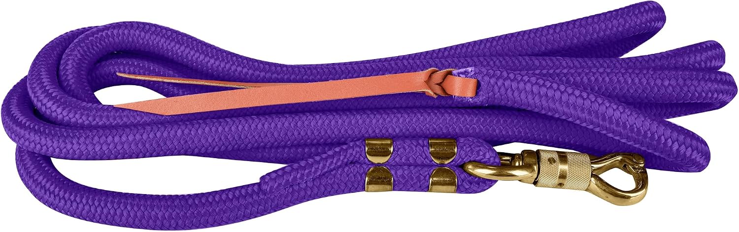 Nylon Trainers Lead 5/8x13ft Red
