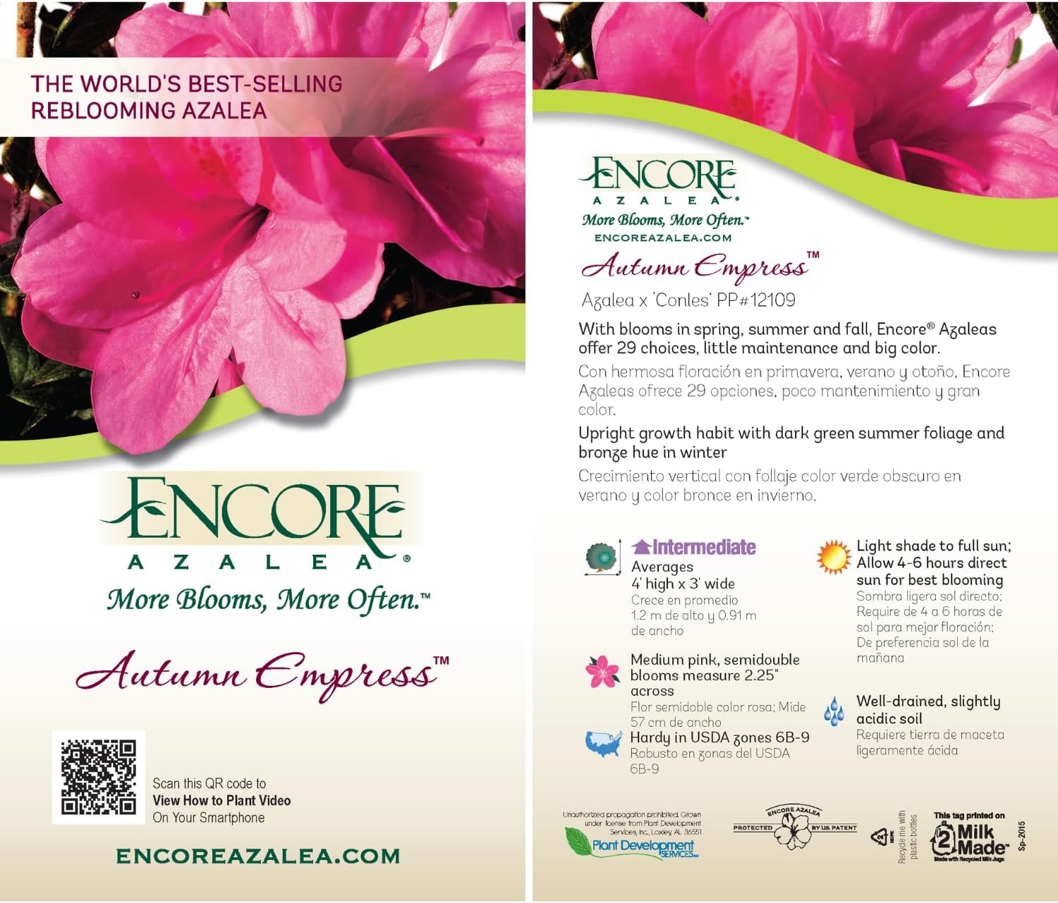 Encore Azalea Autumn Empress (1 Gallon) Pink Flowering Shrub - Full Sun Live - Outdoor Plant. Azalea Shrub/Flowering Plants Rhododendron Perennial Spring Plants