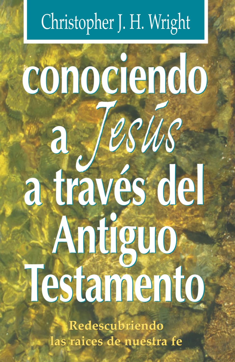 Conociendo a Jesús a través del Antiguo Testamento: Redescubriendo las raíces de nuestra fe