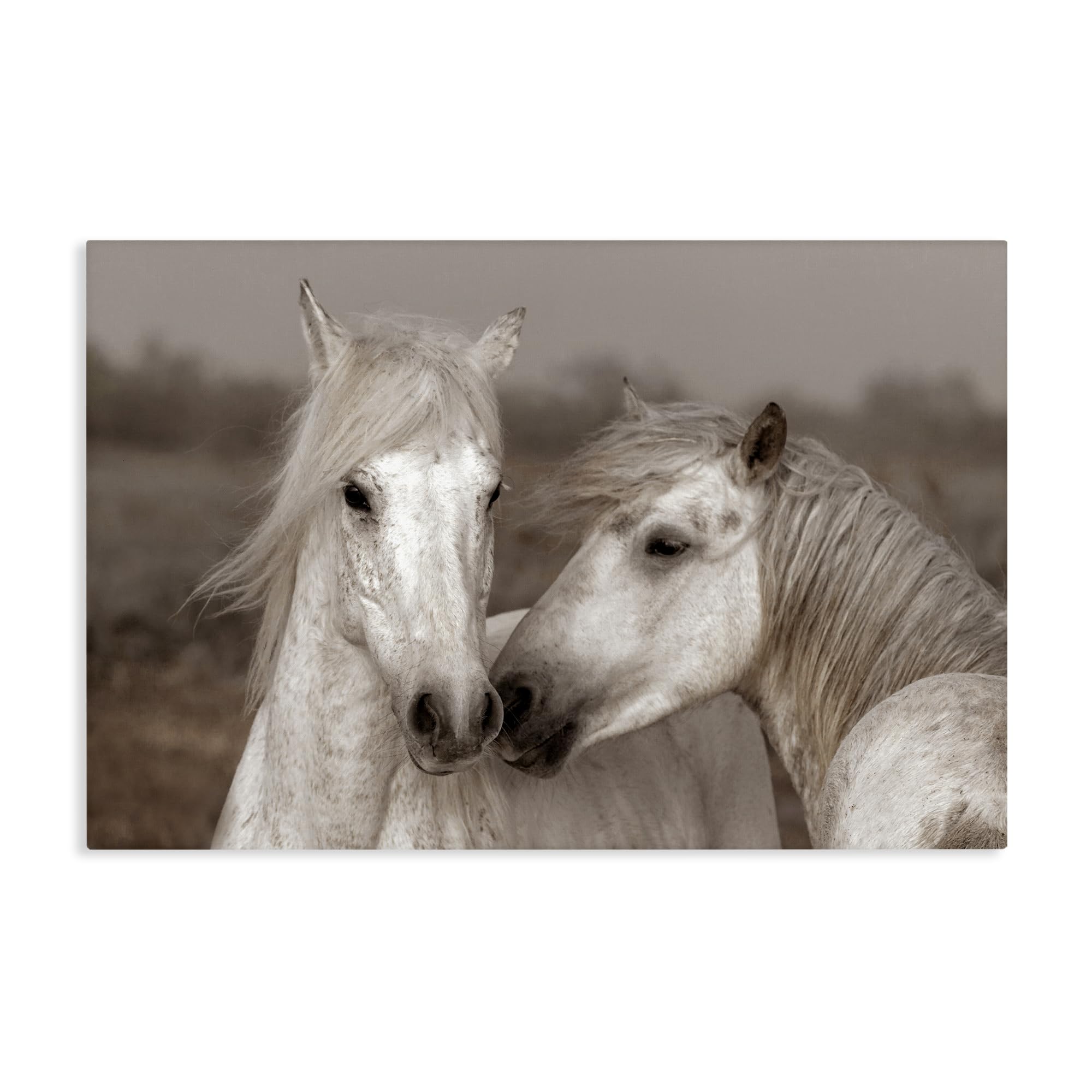Stupell Industries Unframed 'Gentle Companionship Horses'| Canvas Art