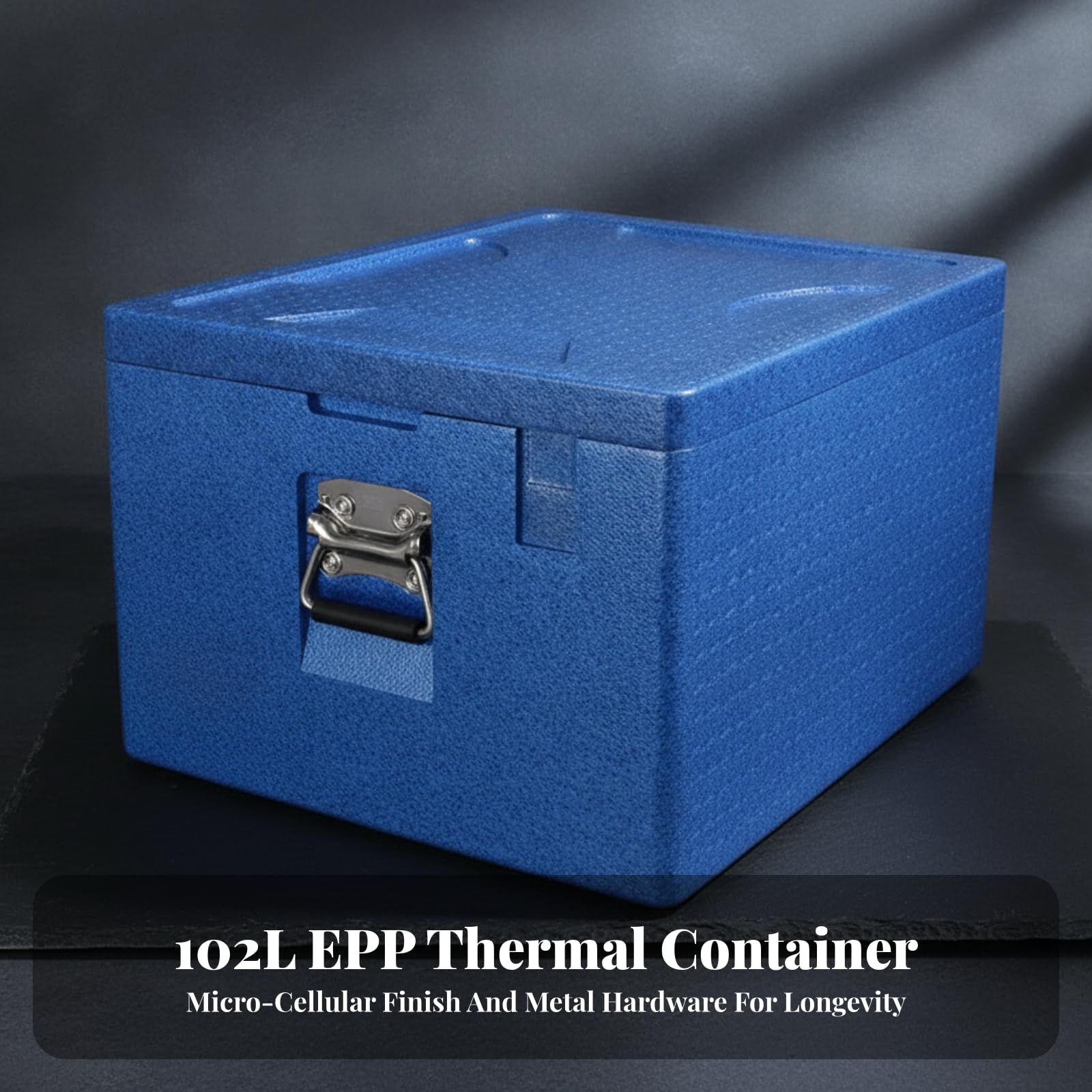 Contenedor Térmico con Asas Resistente