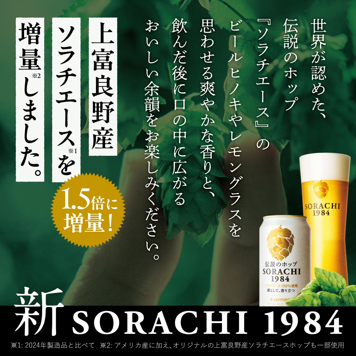Amazon.co.jp: 【クラフトビール】SAPPORO SORACHI1984 [ 日本