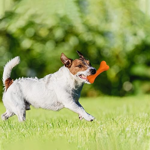 Miniatura 5 de Qesonoo Juguetes para perros para masticadores agresivos, juguete de hueso para perros grandes y medianos, goma natural fuerte