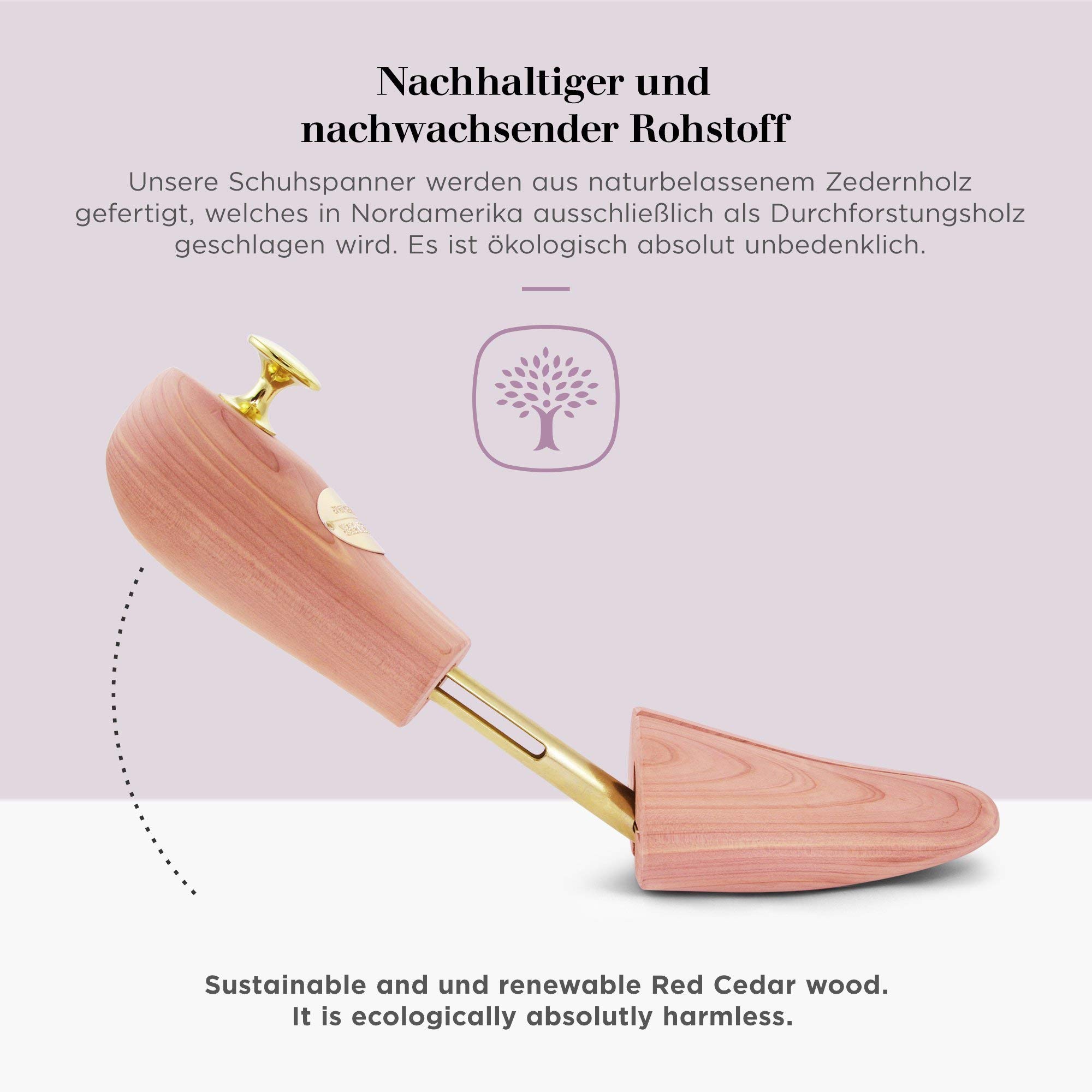 Schlesinger – 4 Paar Premium Damen Schuhspanner aus edlem Zedernholz für eine optimale Schuhpflege. Modell Königin. Größe 36 – 41 in Silber oder Gold.