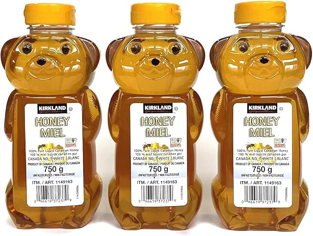 Kirkland 100% Miel canadien (foyer, miel, miel) 750g Miel canadien (ensemble de 3) Ensemble de 3