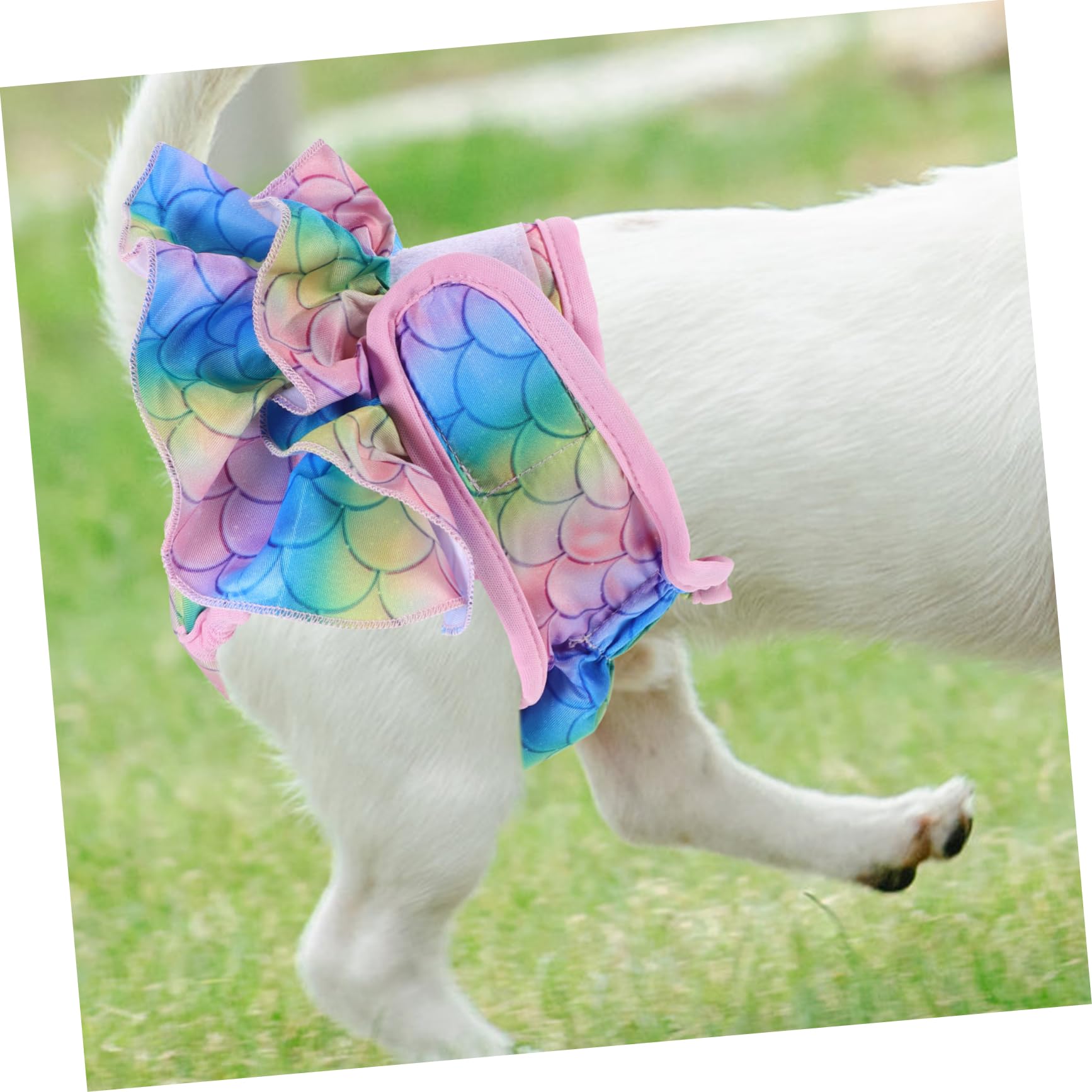 YARNOW 4piezas Absorbentes Reutilizables para Perros Pantalones Sanitarios Decorativos para Hembras para Perros Celo y Recuperación Material Transpirable y Cómodo Estilo