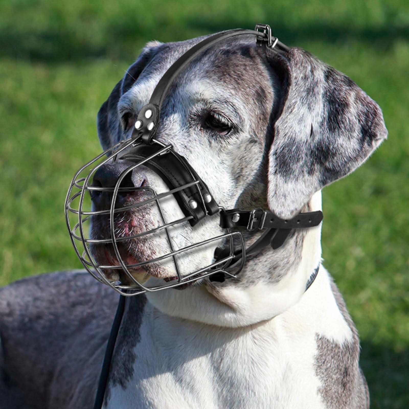 ILEPARK Museruola per Cani in Metallo con Cinghie in Pelle, Pitbull, Alano, Rottweiler, Cestello in Filo Sicuro, Traspirante, Regolabile per Cani Grandi (Nero)