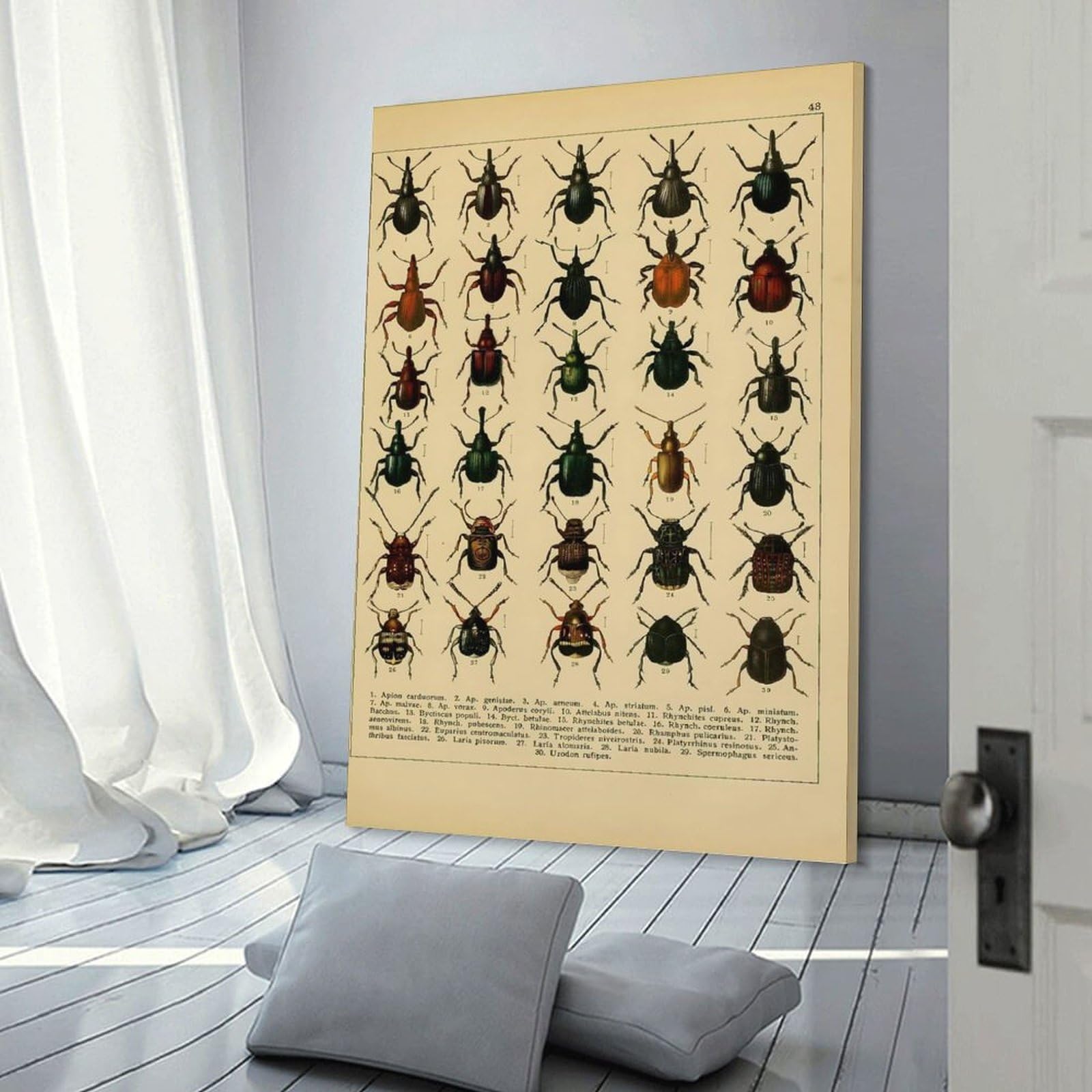 Junmoney Canvas Wall Picture Vintage Insect, 12x18inch(30x45cm), for Bedroom Decor, Cosy Corners Or Studios, A Warm Accent for Relaxed Interiors