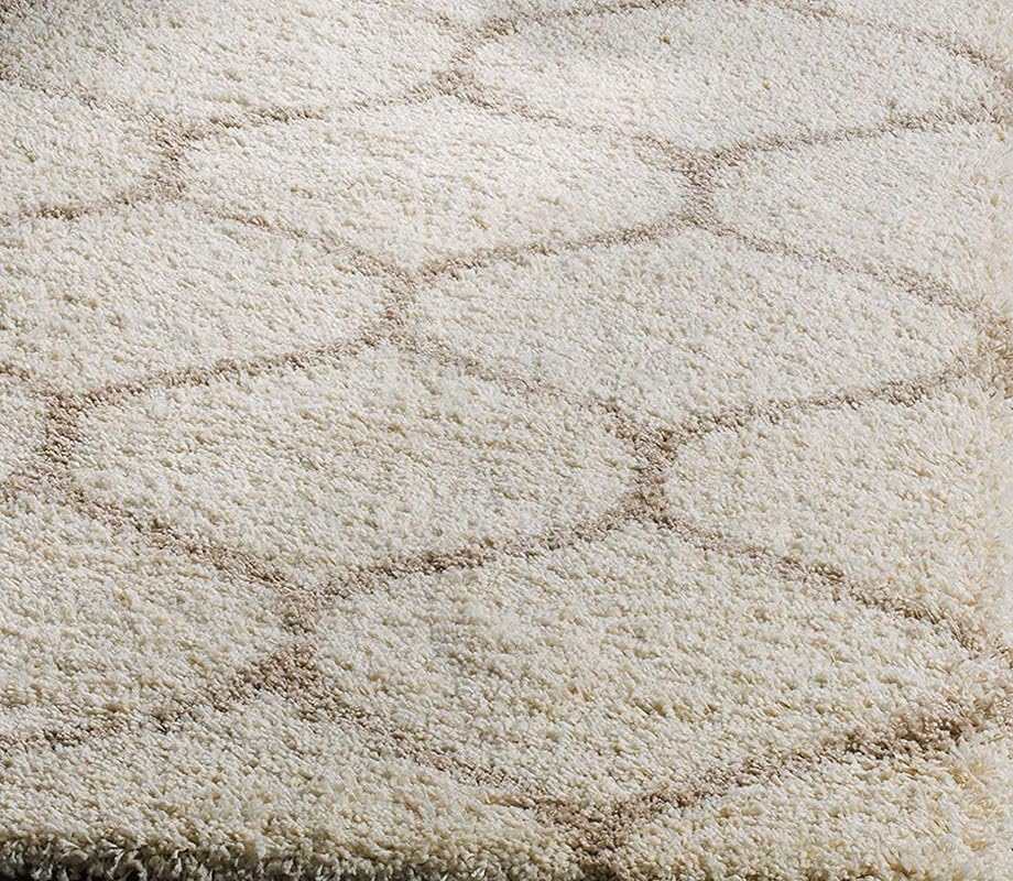 Image of Carpet for Living Room, Bedroom and Hall Handmade Microfiber Cozy Soft and Fluffy Shaggy Area Rug with 2 inch Thick Anti Skid Carpet [4x6 Feet Ivory Beige]