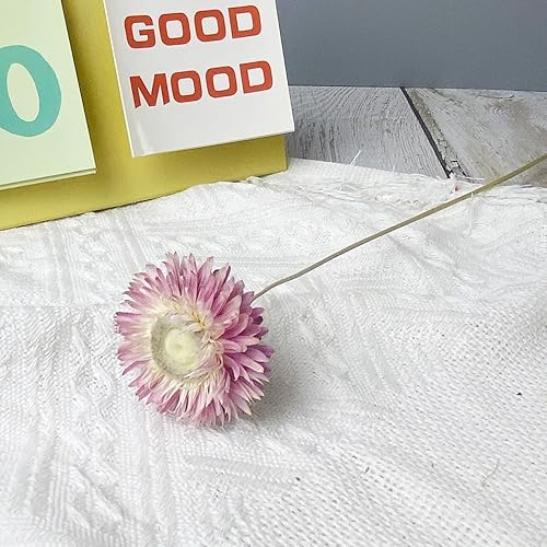 Miniatura 4 de Flores de margaritas 100% naturales, ramos de flores secas, 30 unidades de margaritas rosadas, crisantemos, arreglos de 17 pulgadas para jarrón,