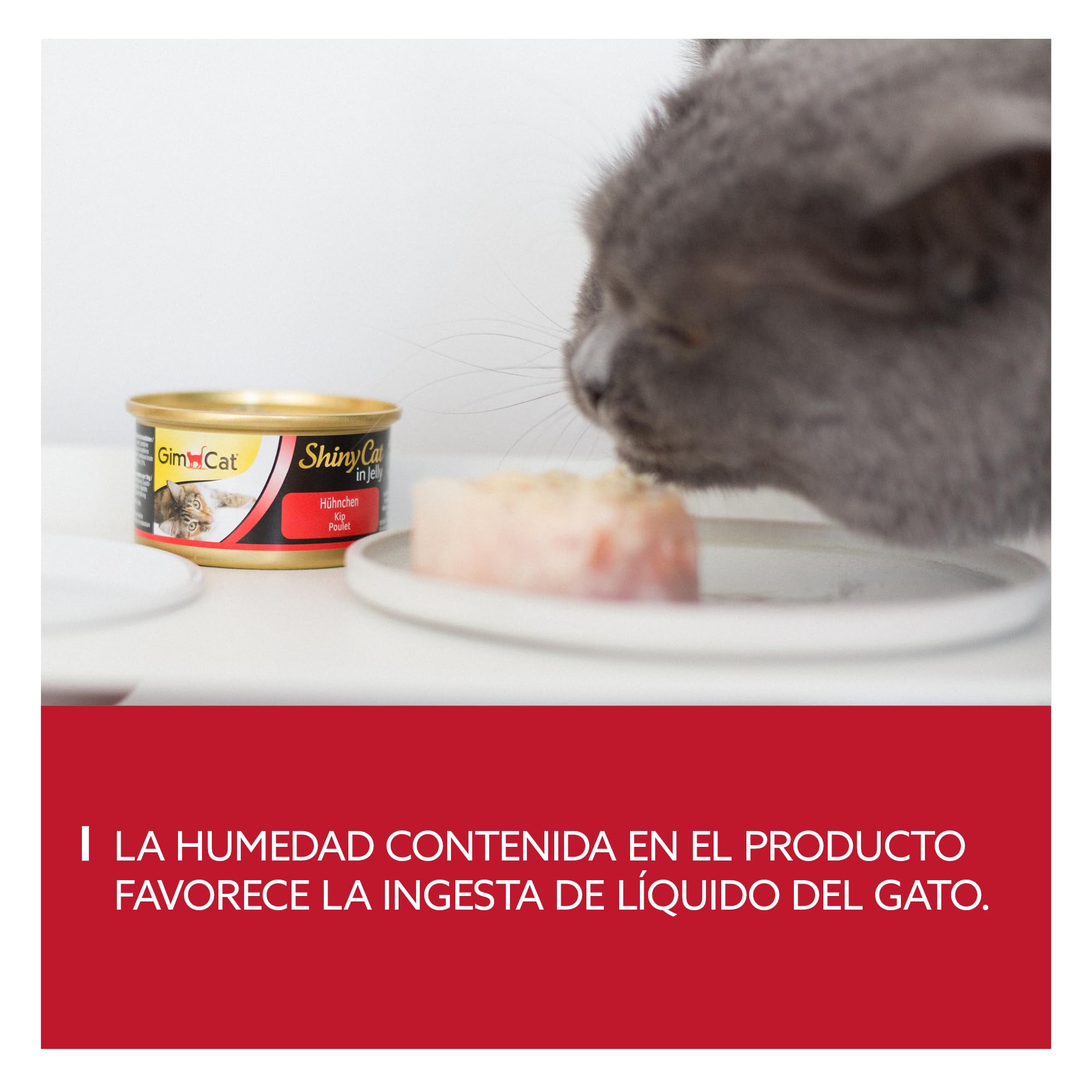 GimCat ShinyCat in Jelly, pollo - Alimento húmedo para gatos, con carne y taurina - 48 latas (48 x 70 g)