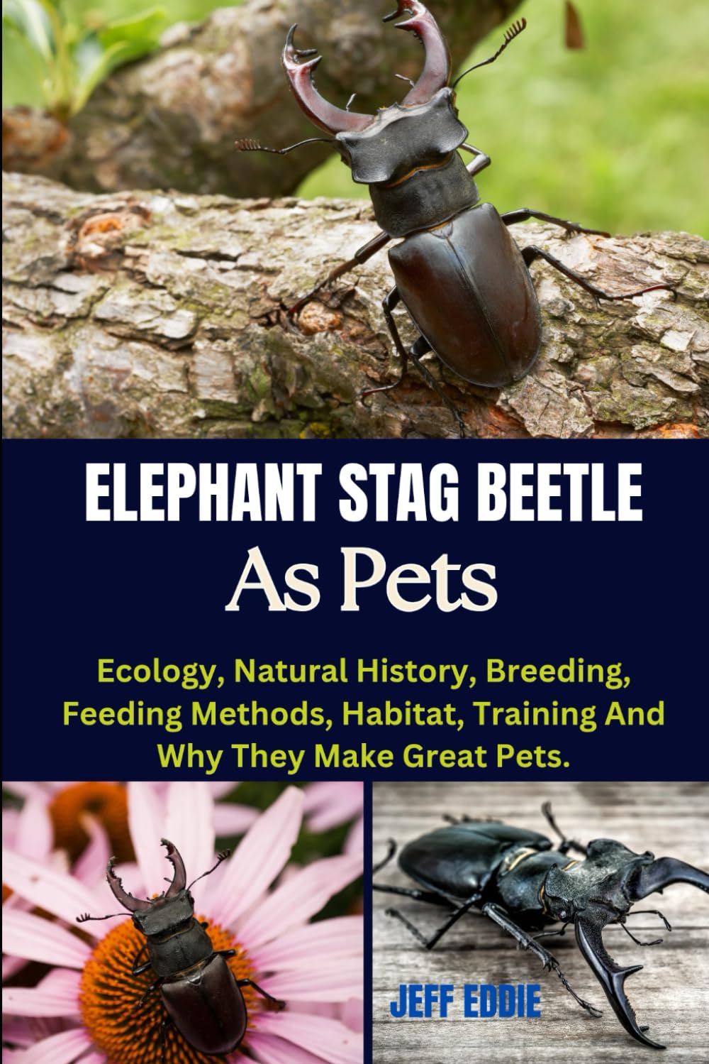 ELEPHANT STAG BEETLE AS PETS: Ecology, Natural History, Breeding, Feeding Methods, Habitat, Training And Why They Make Great Pets.