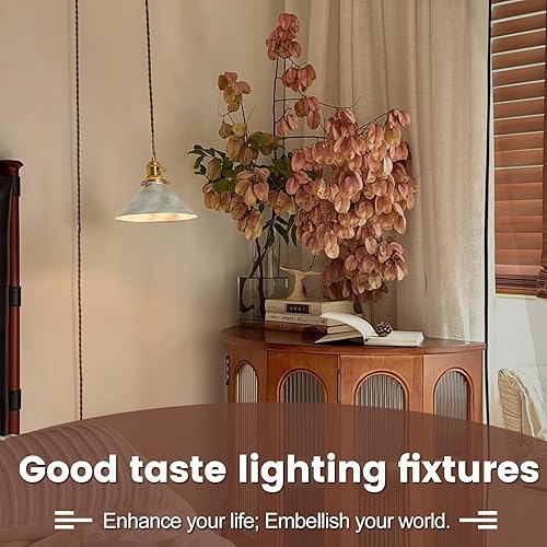 Miniatura 2 de Luces colgantes con cable de enchufe, lámpara colgante industrial de jaula de plata antigua con bombillas Edison, lámpara colgante con acabado de