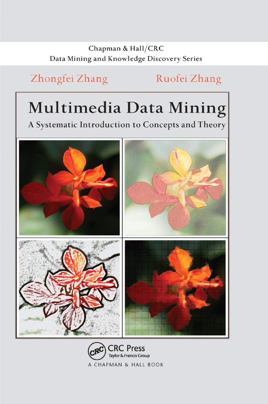 Multimedia Data Mining: A Systematic Introduction to Concepts and Theory (Chapman & Hall/CRC Data Mining and Knowledge Discovery Series)