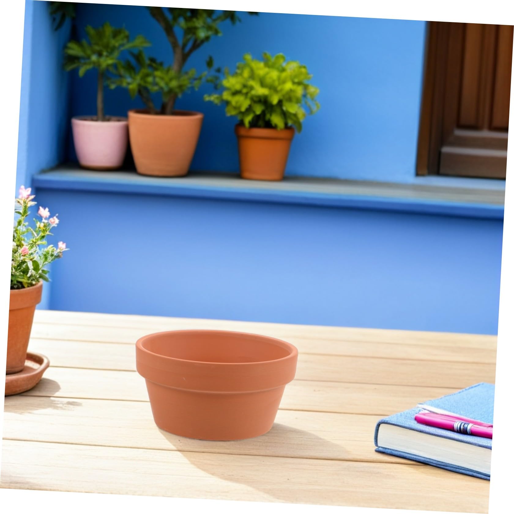 Lot de 6 Mini Pots en Terre Cuite Rouge 11x6 Cm Jardinières de Rebord de Fenêtre pour Succulentes Pots de Fleurs en Argile Absorbante Drainage Naturel D’intérieur Compact