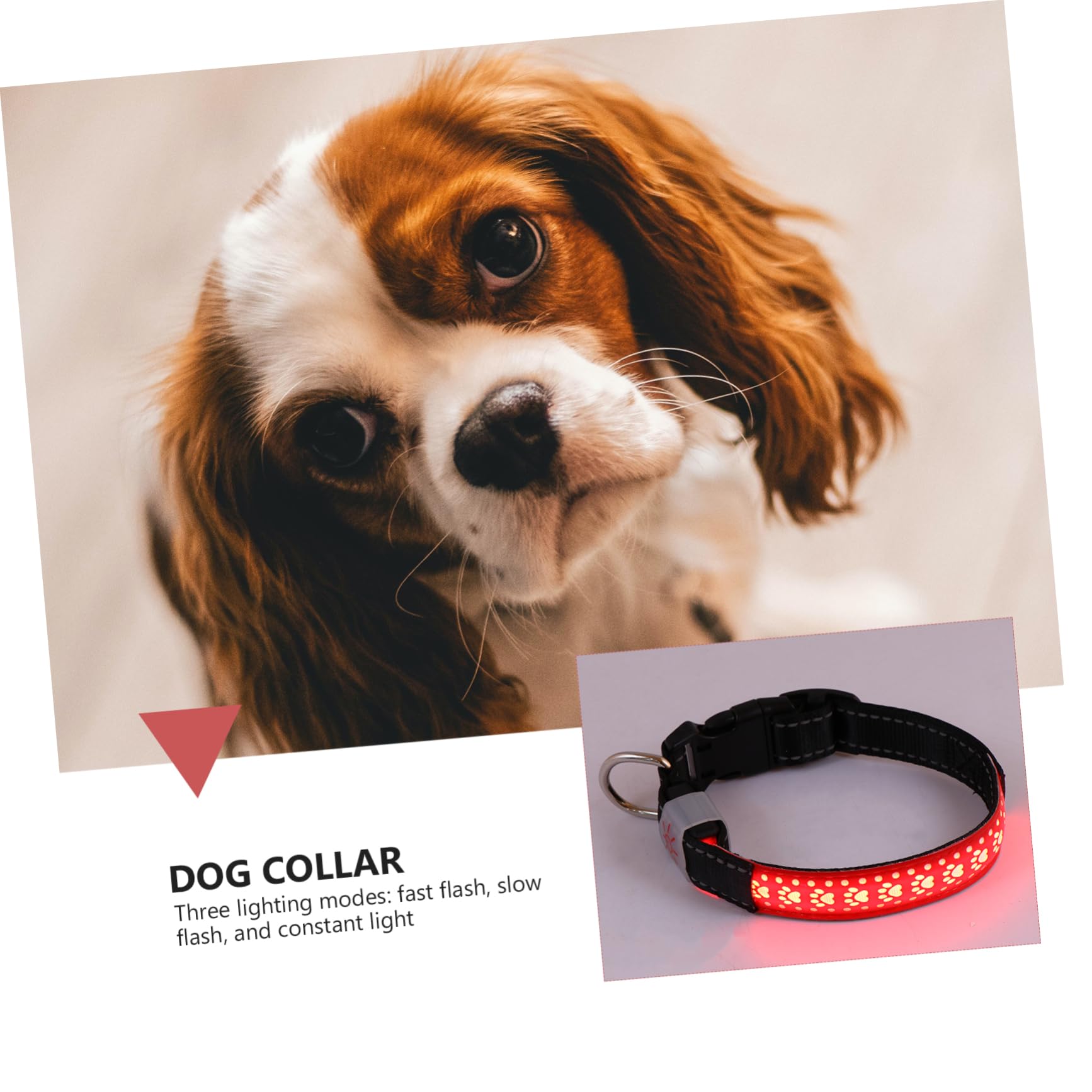 FRCOLOR 3 Pièces Collier Lumineux Chien Collier De Chiot Collier De Chien Collier LED pour Réglable pour Animaux De Compagnie Sangle en Nylon Lumière Aveuglante Rouge Briller