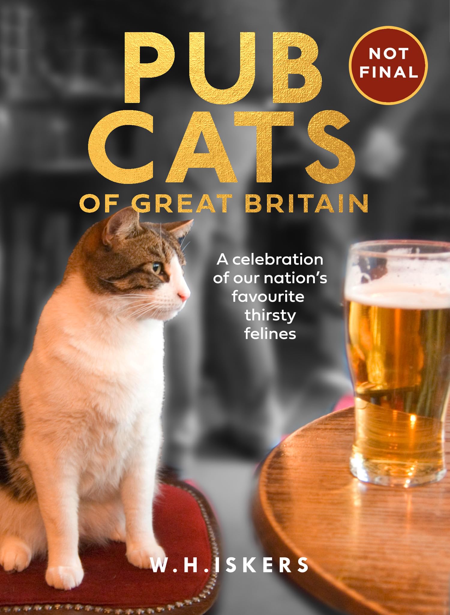 Pub Cats of Great Britain: A celebration of our nation’s favourite thirsty felines