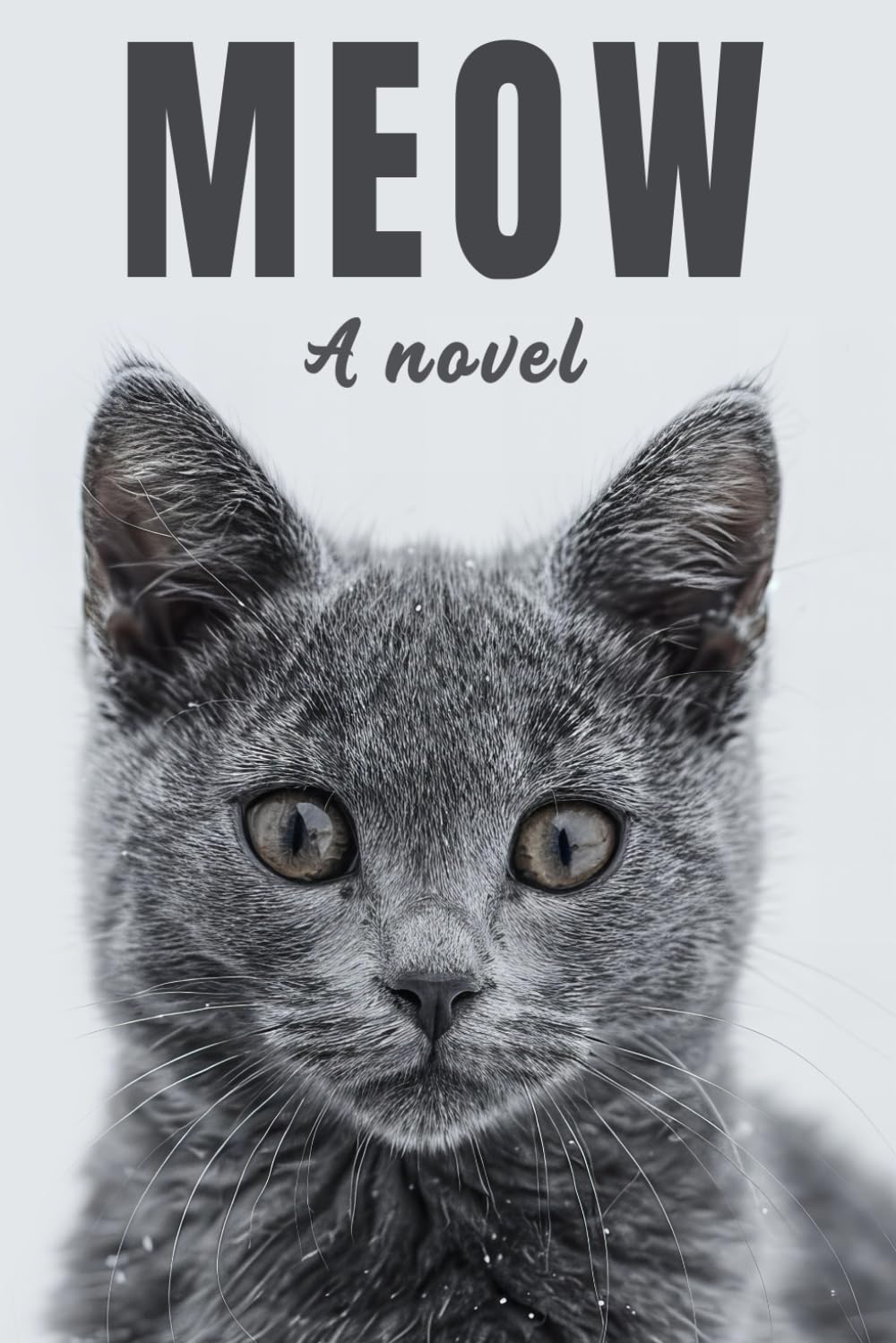 Meow: A Novel for Your Cat