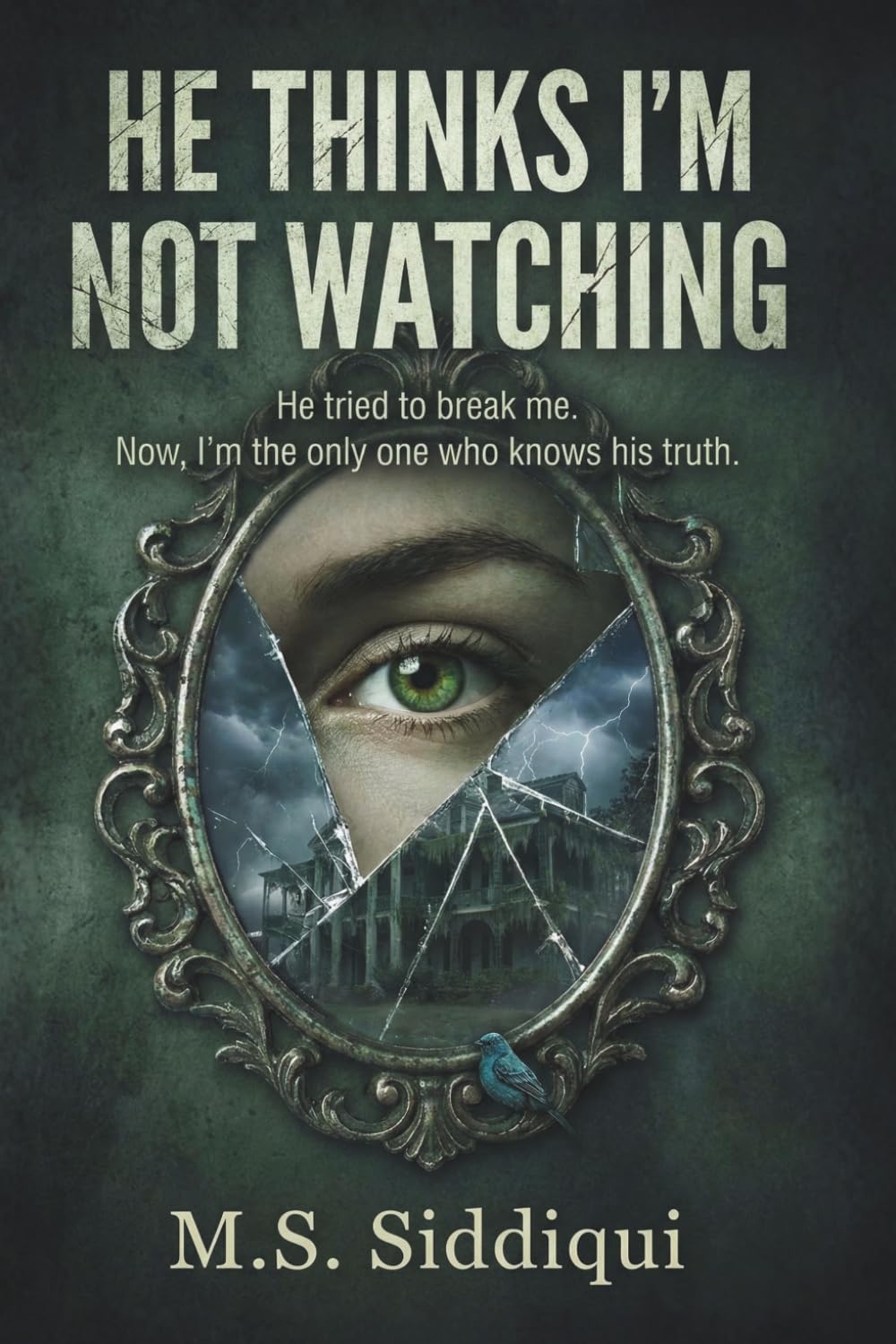 He Thinks I’m Not Watching: He tried to break me. Now, I’m the only one who knows his truth