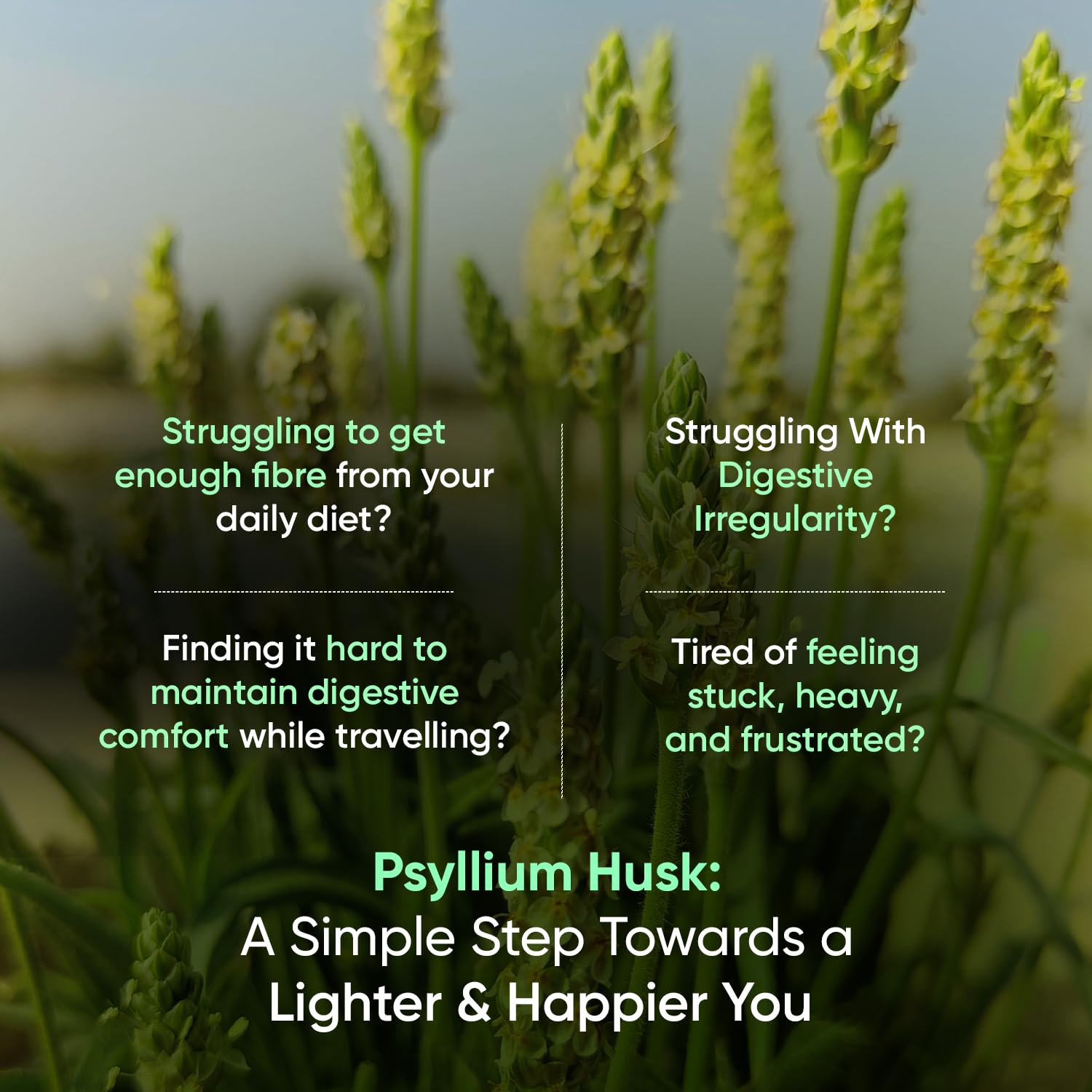 WeightWorld Psyllium Husk Capsules 1500mg (750mg per Cap) | 4-Month Supply — Amazon image 2