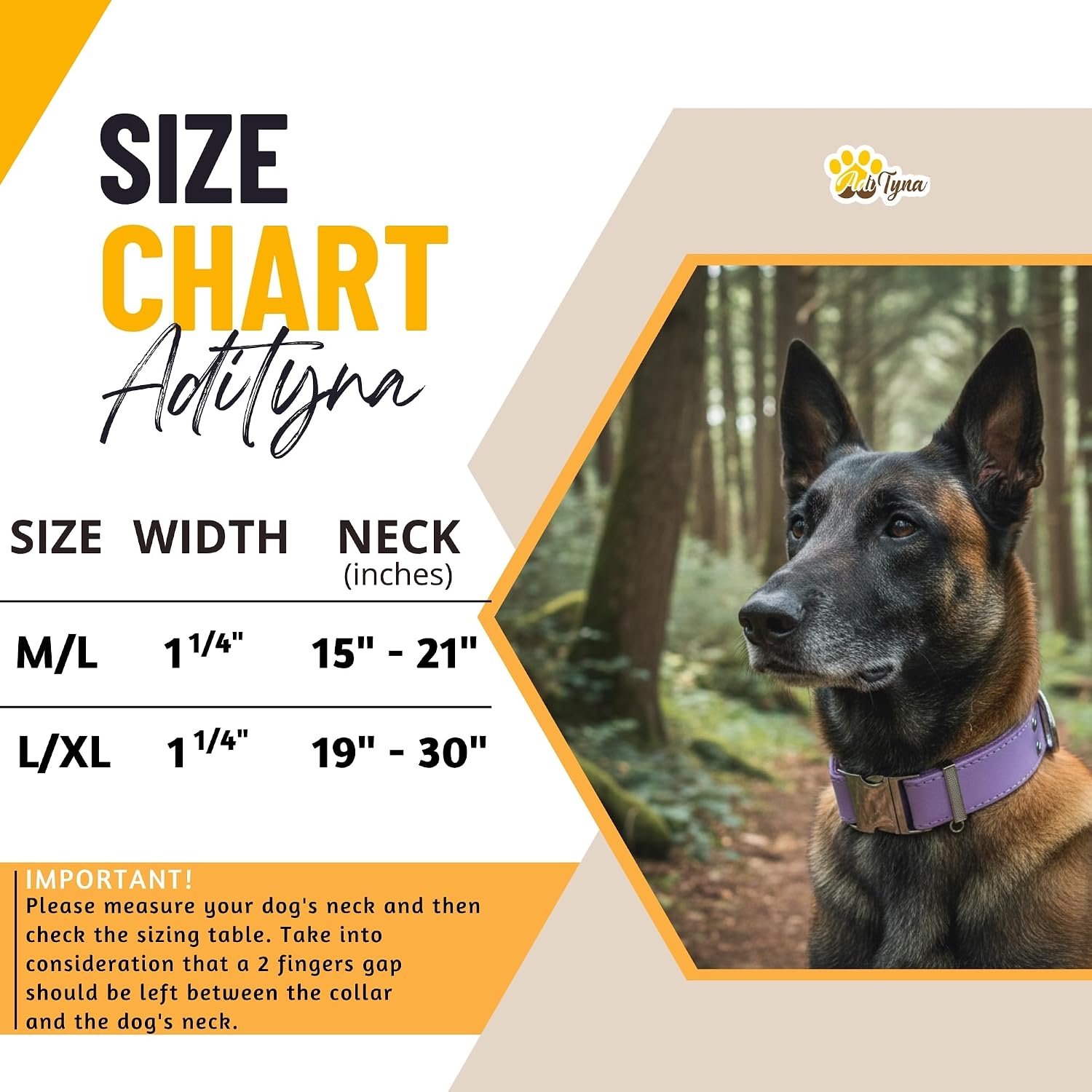 ADITYNA Leather Dog Collar for Medium & Large Dogs, Adjustable 15-21" Neck image 2