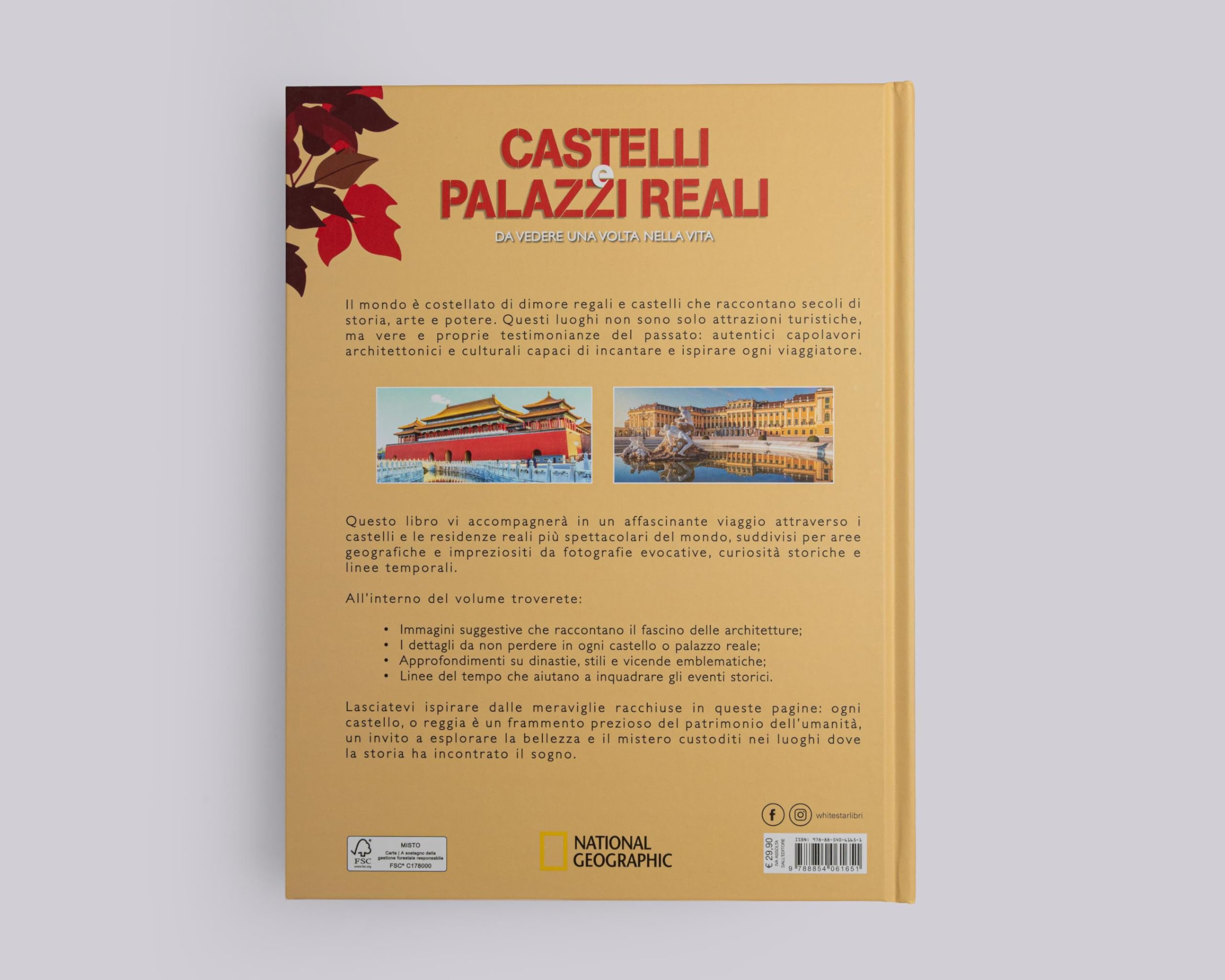 Castelli e palazzi reali da vedere una volta nella vita. Ediz. a colori