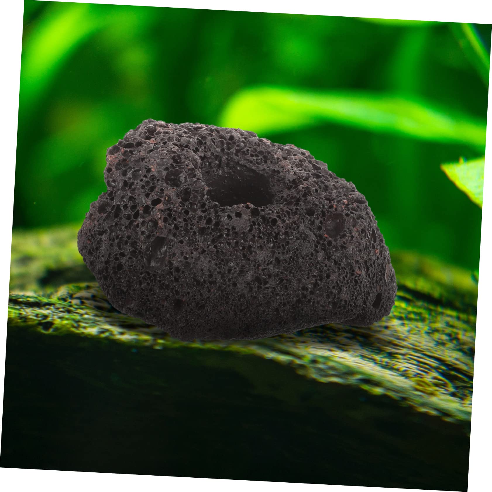 YARNOW 10 Anillos Fijación Volcanicas Acuario Pecera Soporte Plantas Decoración
