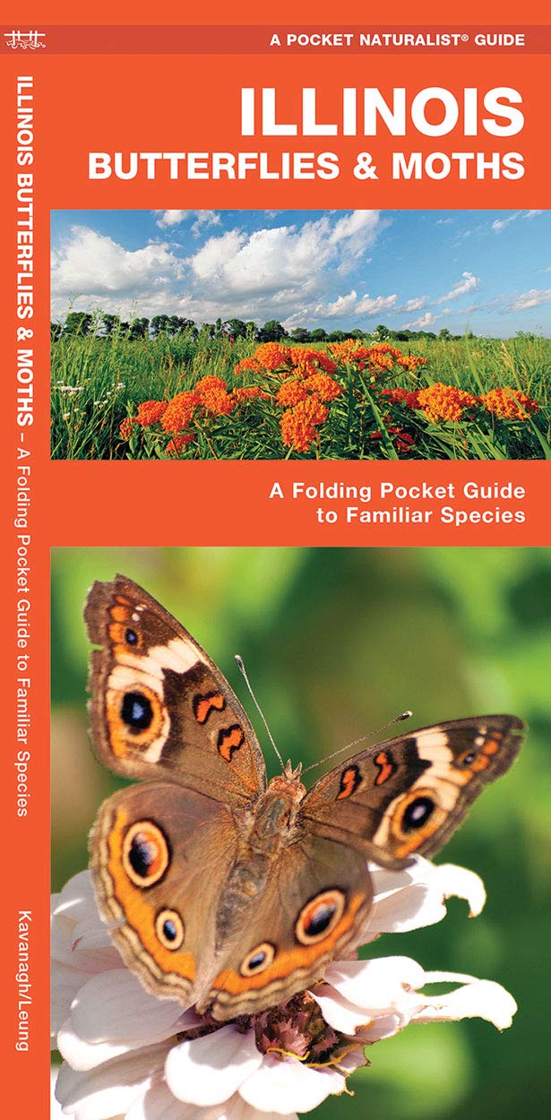 Illinois Butterflies & Moths: A Folding Pocket Guide to Familiar Species (A Pocket Naturalist Guide)