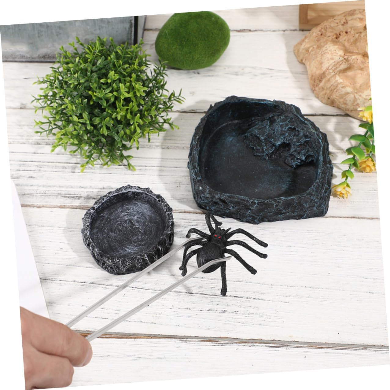 Balacoo Reptile Feeding Dish and Water Bowl Set with Large and Small Bowls and 27cm Curved Tweezers for Bearded Dragons, Tortoises, Snakes, and Hermit Crabs in Terrarium