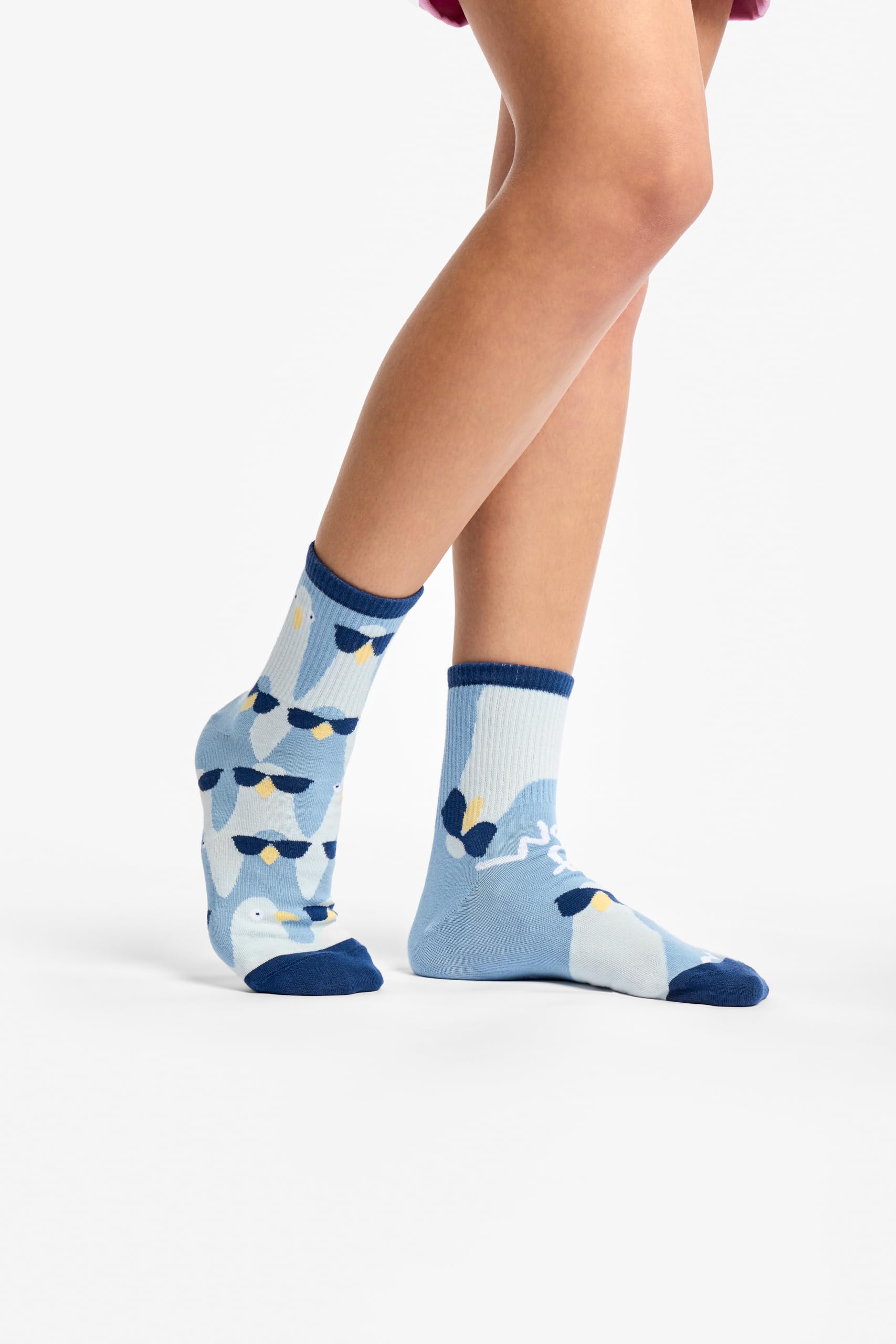 Dedoles Calzini Unisex Donna Uomo & Bambini Calze Cotone con tanti Design divertenti Calcio Bicicletta Piante Cavalli Regalo sinistra destra diversi