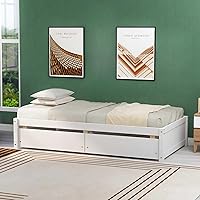 Vista 9 de Sofá cama individual con 2 cajones, moderno sofá cama para niños, adolescentes y adultos, marco de cama de día de madera para dormitorio, sala