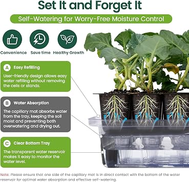 SOLIGT Self Watering Seed Starter Trays with Humidity Domes, Extra Thick Plastic Seed Starter kit for Seed Starting, Plant Germination & Seedling Growing, 6 Pack 144 Cells