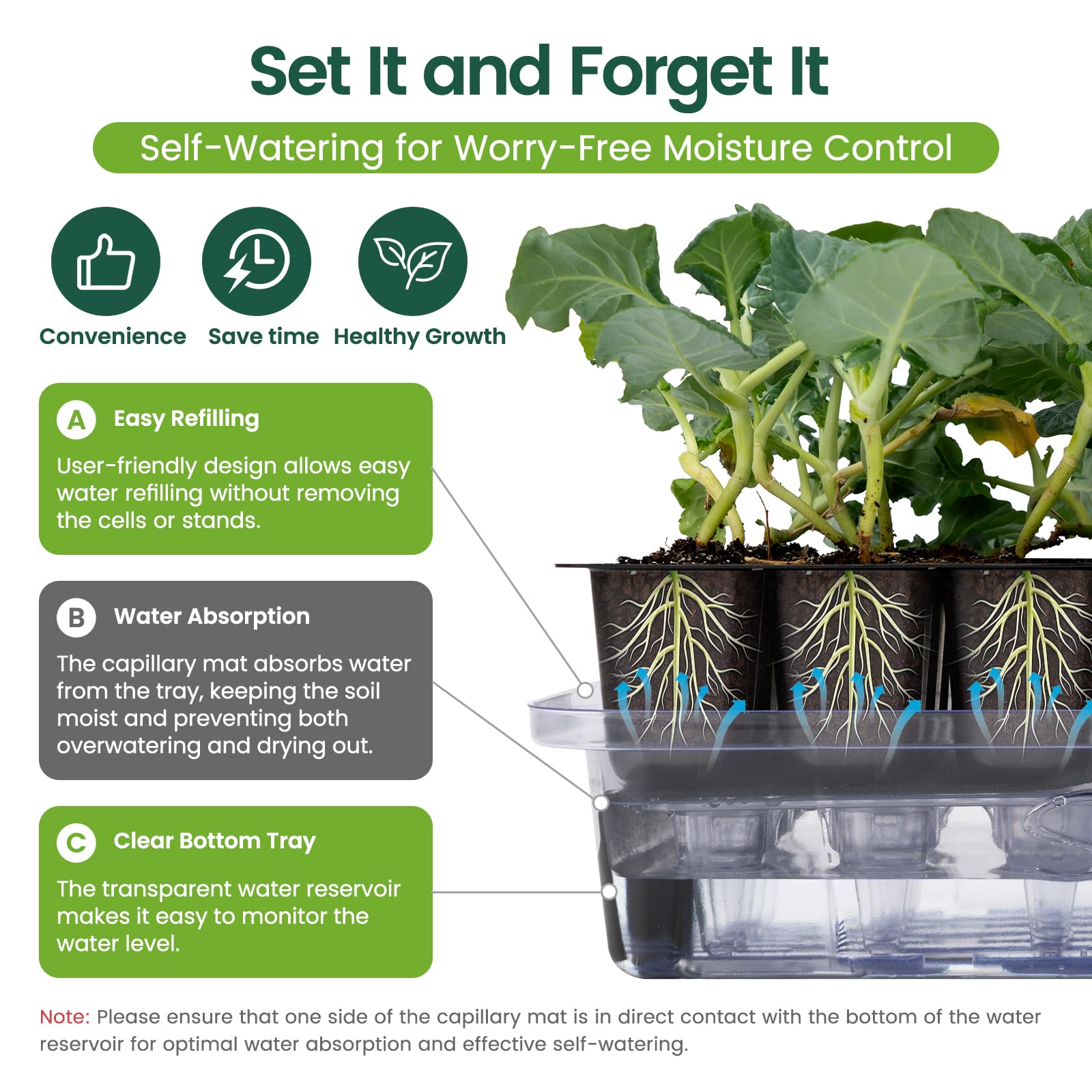 How to Water Vegetable Seeds to Ensure Healthy Growth: Expert Tips