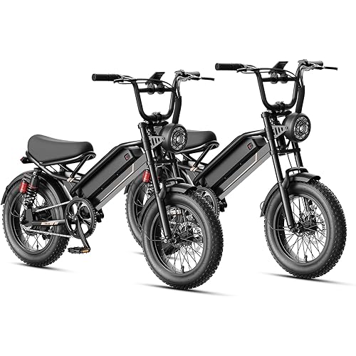 Electric Bike for Adults YR16/YR20 with Peak 1000W/2000W Motor, 48V 12.5AH/20AH Battery Electric Bicycle, 16"/20" Fat Tire Dirt Bike with Cruise Control, 55-80 Miles Moped Style Ebike