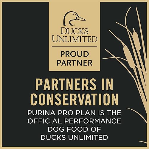 Miniatura 4 de Purina Pro Plan Sport - Alimento para cachorros con alto contenido de proteínas, fórmula húmeda de pollo y arroz, (paquete de 12) latas de 13 onzas