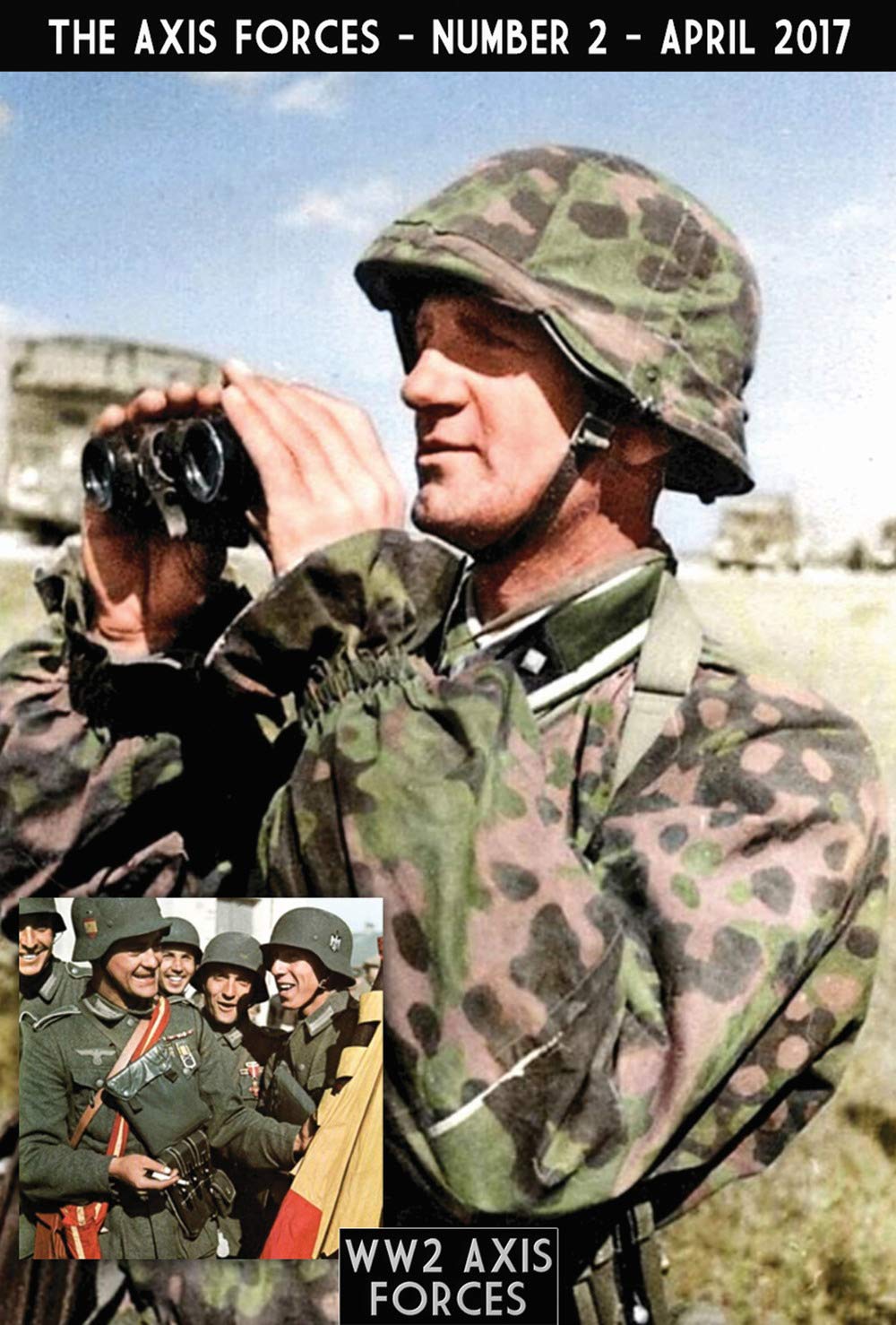 The Axis Forces 2