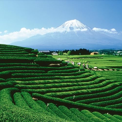 Miniatura 5 de Palais des Thés - Mezcla orgánica con leche matcha  Polvo de té verde japonés orgánico premium para lattes, batidos y cocina  Bolsa de 1.75 onzas