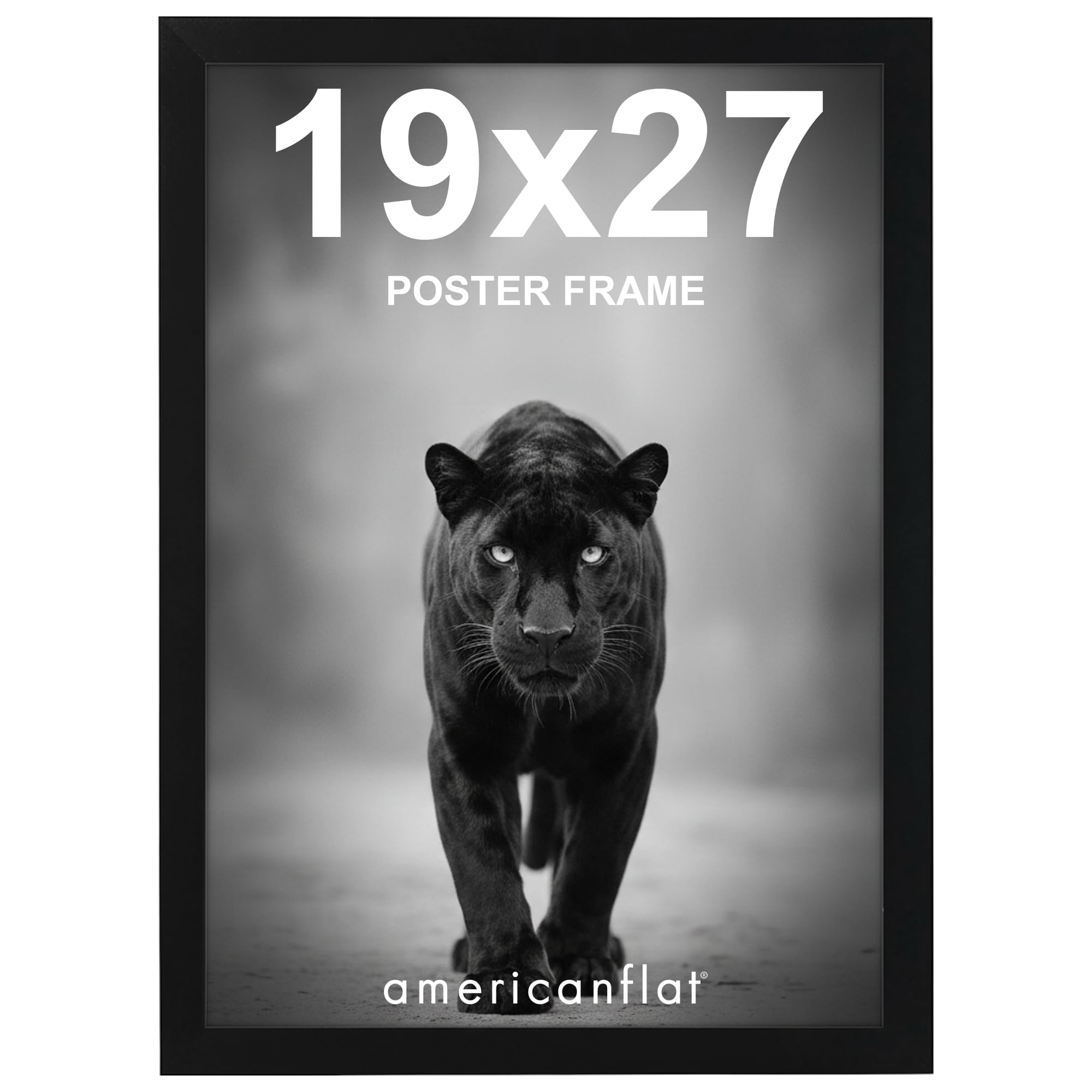 Americanflat 19x27 Poster Frame