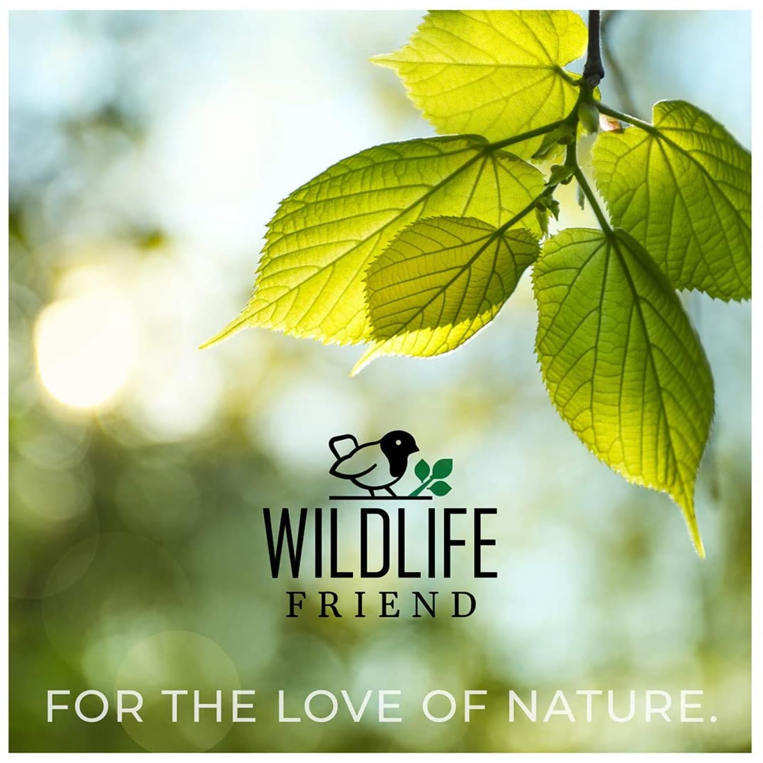 WILDLIFE FRIEND Vogeltränke hängend für Balkongeländer - frostsicher, Vogelbad Balkon, XL Vogelbad Garten für Wildvögel, Wassertränke für Vögel - Vogelwassertränken - Vogelbadewanne für Balkongeländer