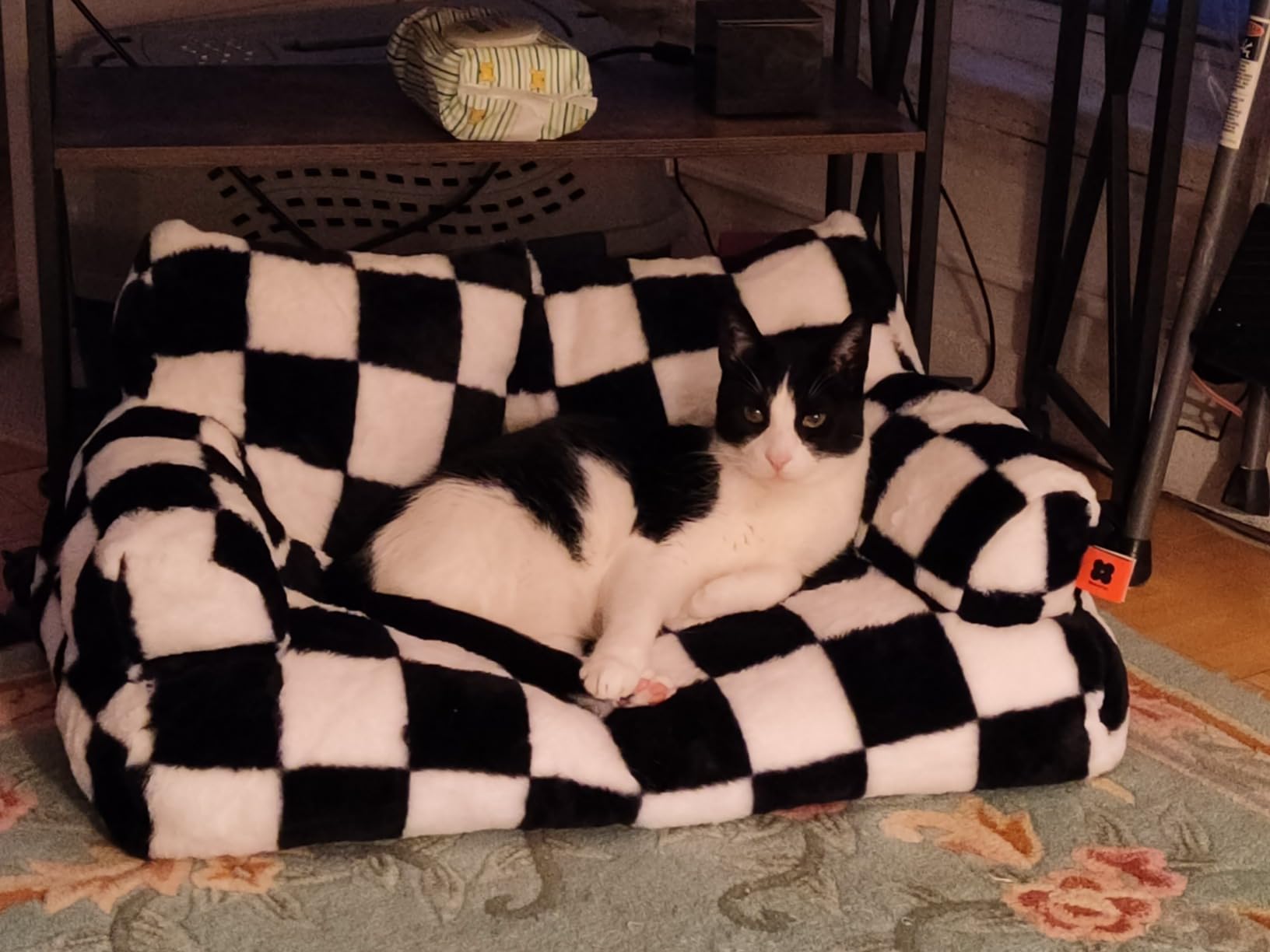 MEWOOFUN Cat Bed for Indoor Cats, Washable Dog Beds for Small Dogs & Cats with Removable Cover, Fluffy Cat Couch with Non-Slip Bottom (Grey, 26.0" L X 19.0" W X 13.0" Th) photo review