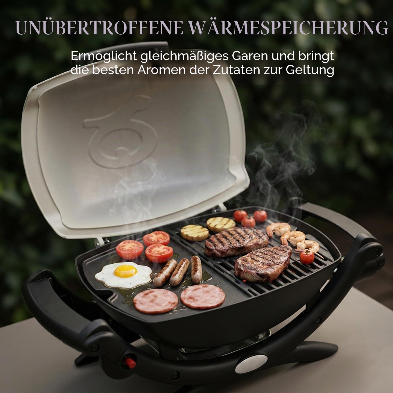 6558 Gusseisen Grillplatte für Weber Q100 Q120 Q1000 Q1200 Series, 32 x 22cm Gusseisen Griddle Ersatzteile für Weber Q140 Q1400, Plancha Bretpfane Zubehör