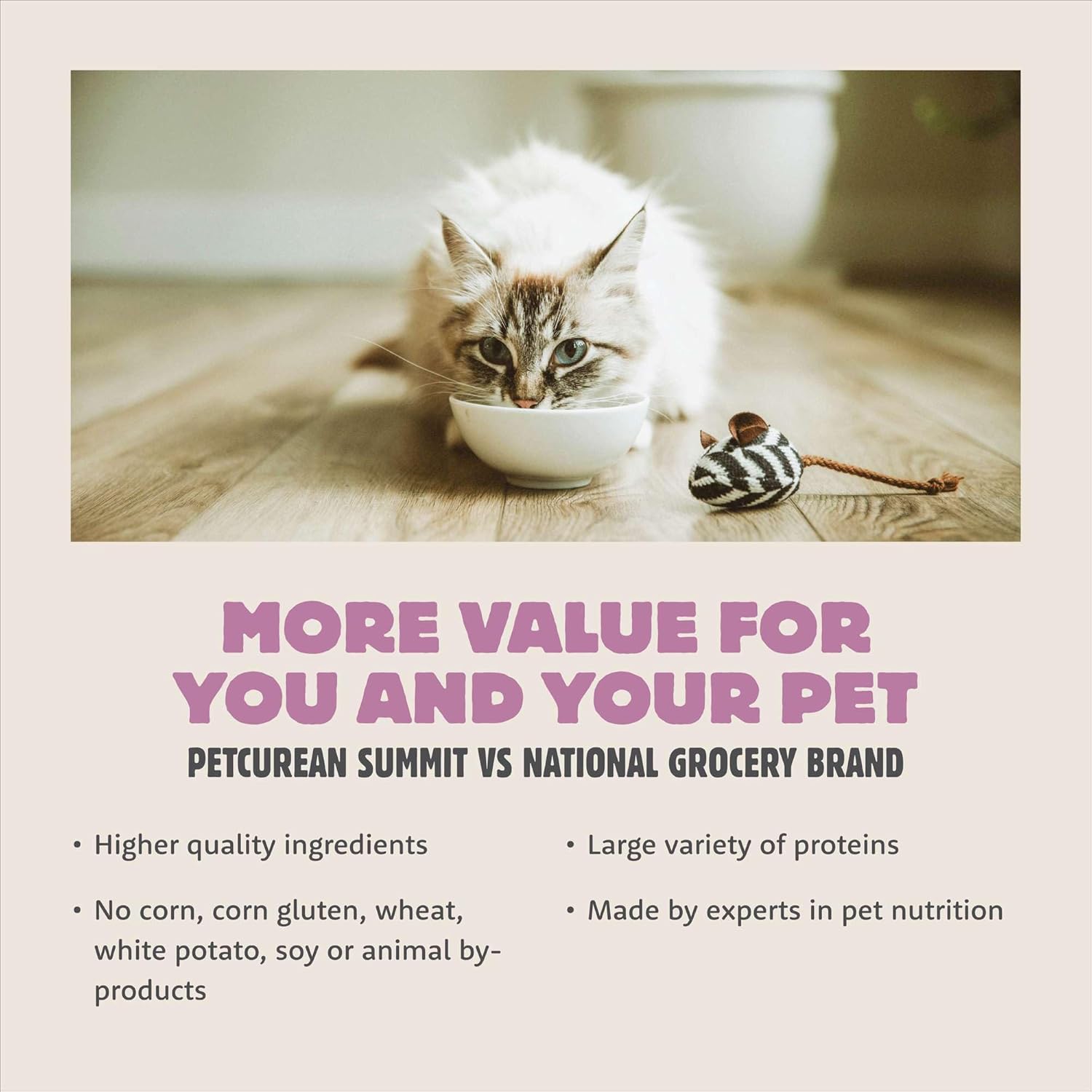 Summit Meadow Roast Chicken Meal + Duck Meal Dry Cat Food, Affordable, Healthy Kibble for Adults & Seniors, Multi-Animal Protein for Picky Eaters, Pumpkin for Sensitive Stomachs, 12lb Bag