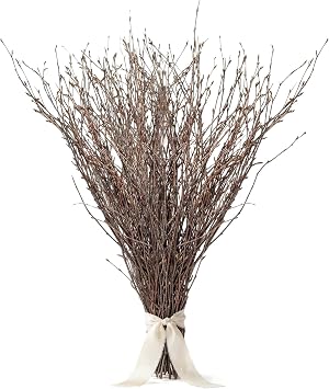 Sukh 40Pcs Natural Birch Twigs 12.8 Dried Birch Branches for Vase Decor