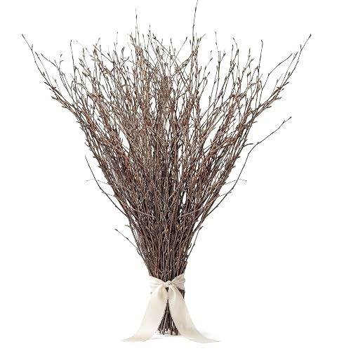 Sukh 40Pcs Natural Birch Twigs – 12.8'' Dried Birch Branches
