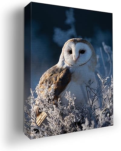 Mavis Print - Lienzo decorativo para pared con diseño de búho, decoración de pared de pájaro de 12 x 16 pulgadas, impresión HD y arte de pared