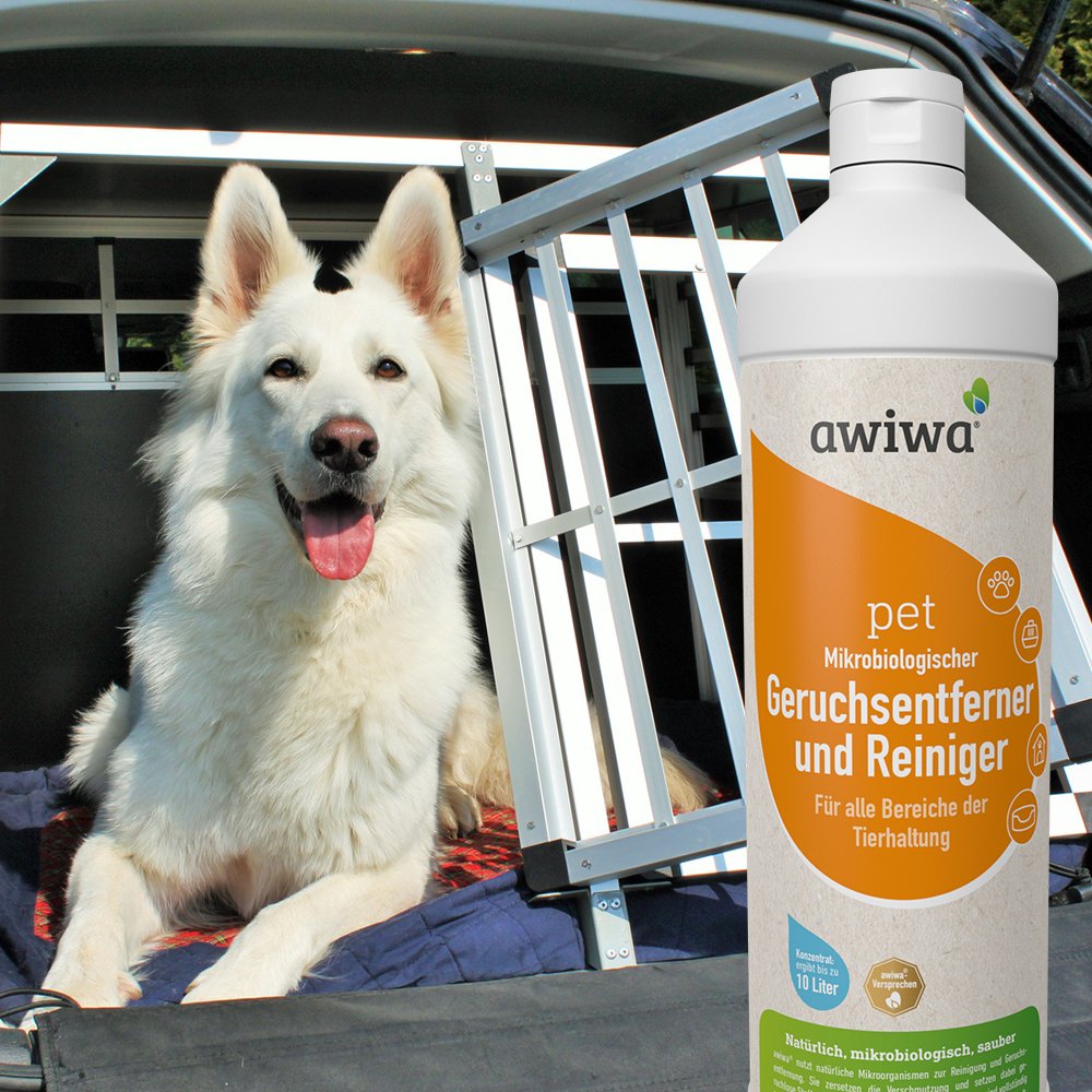 awiwa® pet Mikro­biologischer Tier-Geruchsentferner Konzentrat – gegen Tierurin Geruch & Flecken, für Hund Katze Haustier geruchsneutralisierend (10 Liter)