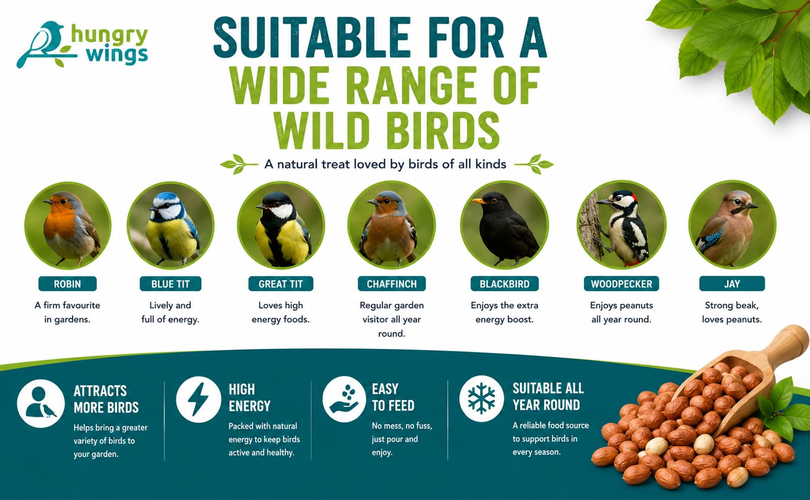 Nourriture pour Oiseaux Sauvages 5 L, Cacahuètes