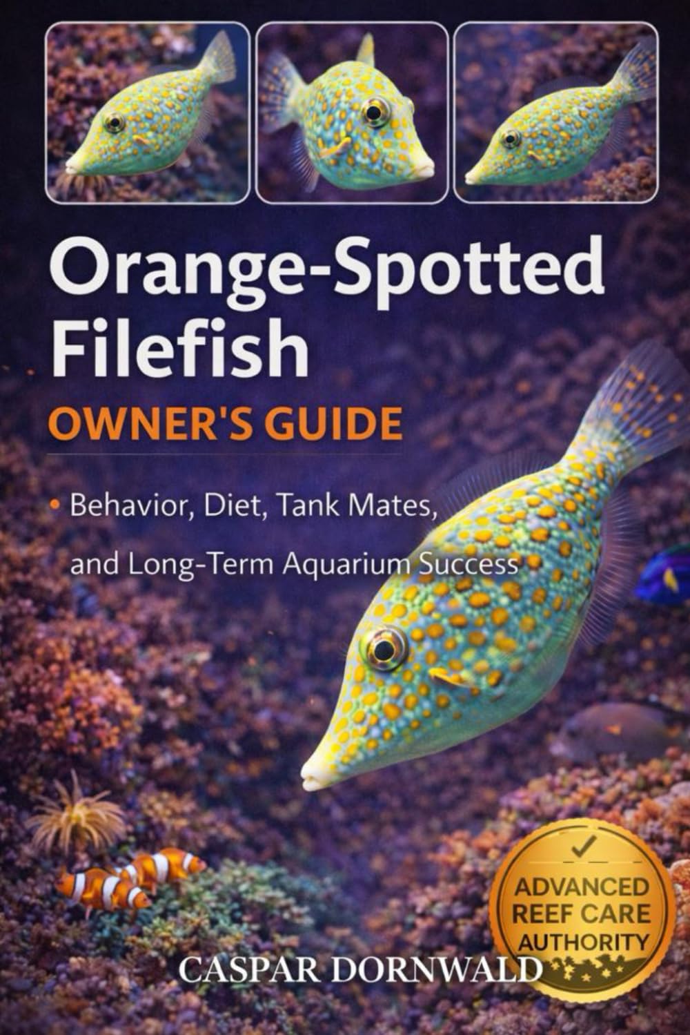 ORANGE-SPOTTED FILEFISH OWNER’S GUIDE: Behavior, Diet, Tank Mates, and Long-Term Aquarium Success